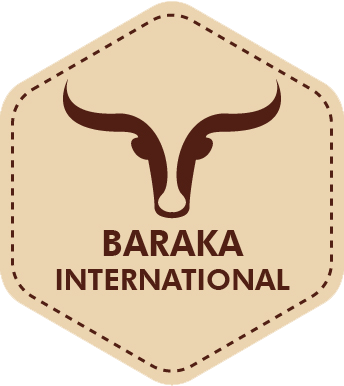 Baraka International Logo